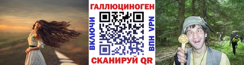 Галлюциногенные грибы GOLDEN TEACHER  mega маркетплейс  Рассказово 