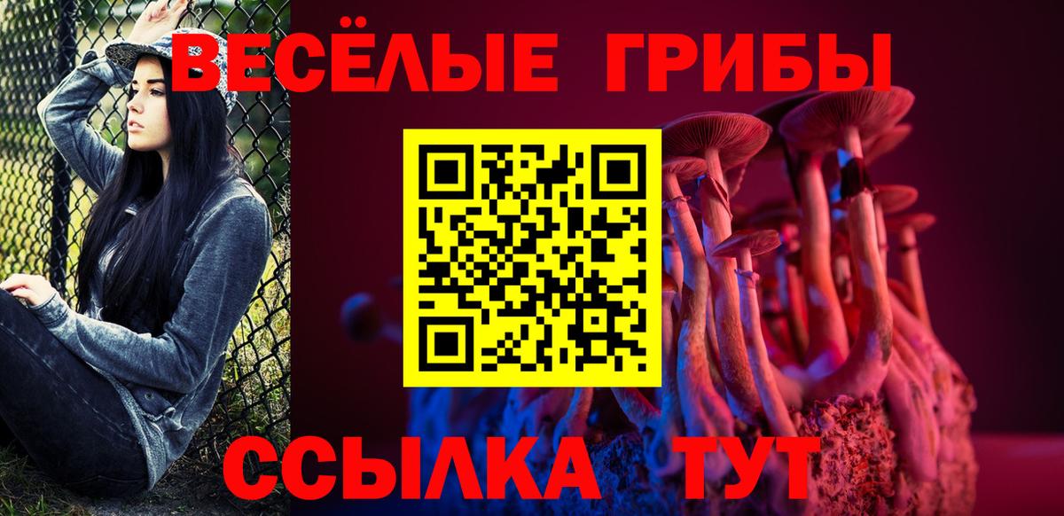 Галлюциногенные грибы GOLDEN TEACHER Рассказово